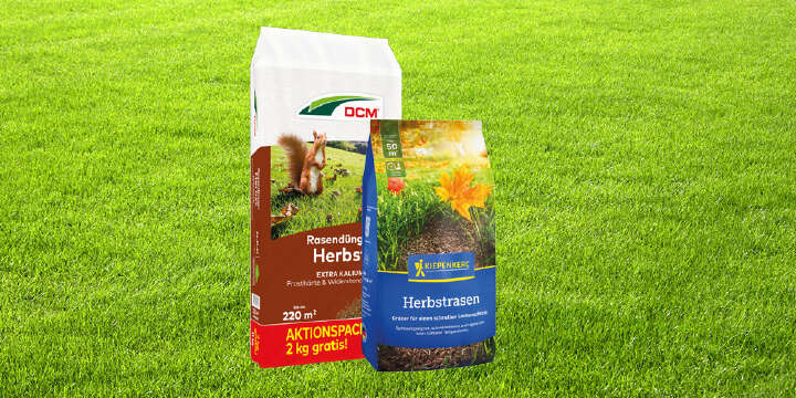 landflair saisonale tipps Rasen 1000x500